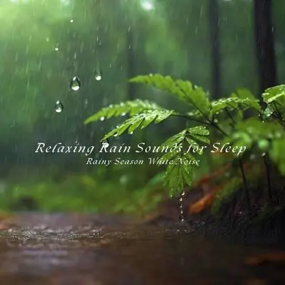 雨中平凡的一天封面