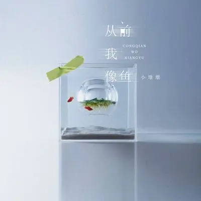 从前我像鱼封面