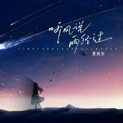 听风说雨经过(Live合唱版)封面