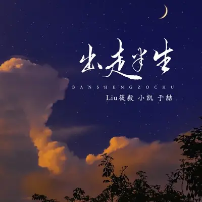 出走半生封面