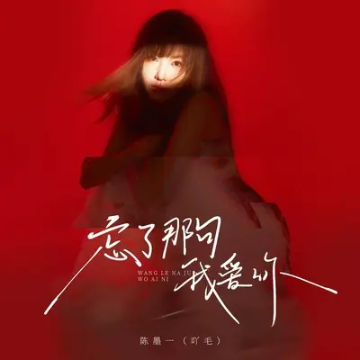 忘了那句我爱你封面