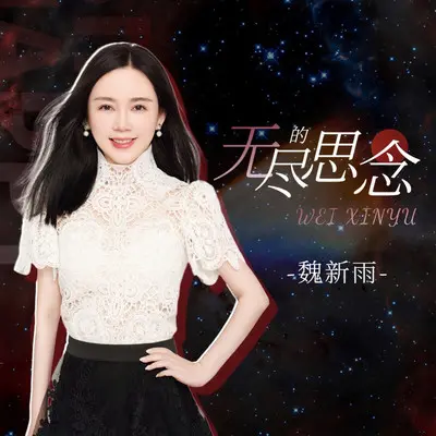 无尽的思念封面