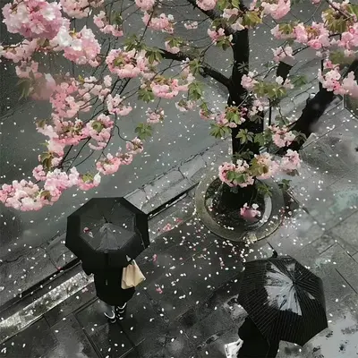 APT封面
