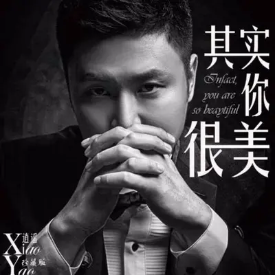 兄弟这杯酒(伴奏)封面