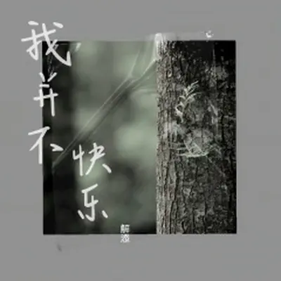 我并不快乐(伴奏)封面