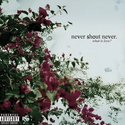 California - Never Shout Never封面