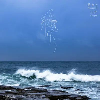 兄弟想你了（DJ伟然女声版）封面