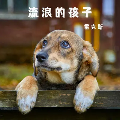 流浪的孩子封面