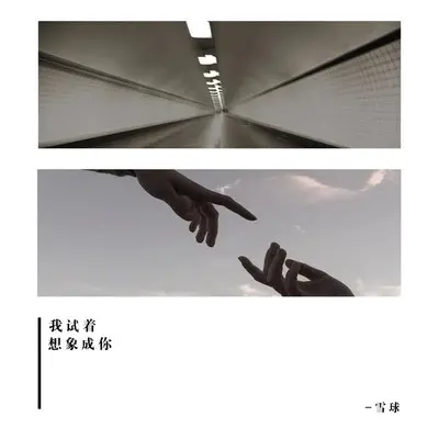 我试着想象成你封面