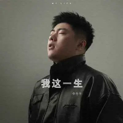 我这一生封面