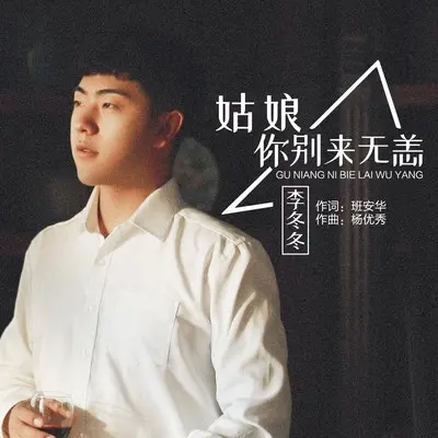 姑娘你别来无恙(DJ沈念版伴奏) - 李冬冬封面