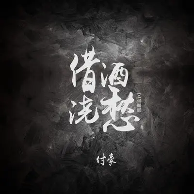借酒浇愁（(DJ何鹏版)(伴奏)）封面
