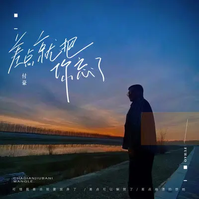 差点就把你忘了(伴奏)封面