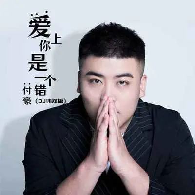 爱上你是一个错(DJ伟然版伴奏) - 付豪封面