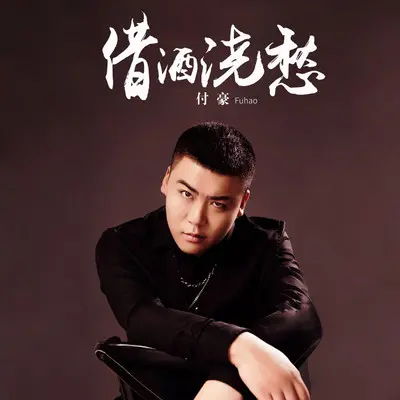 借酒浇愁(完整版) - 付豪封面
