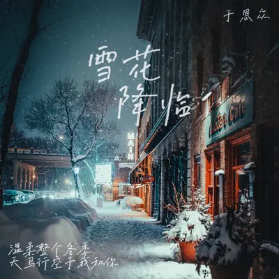 雪花降临封面