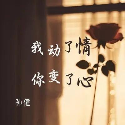 我动了情你变了心封面