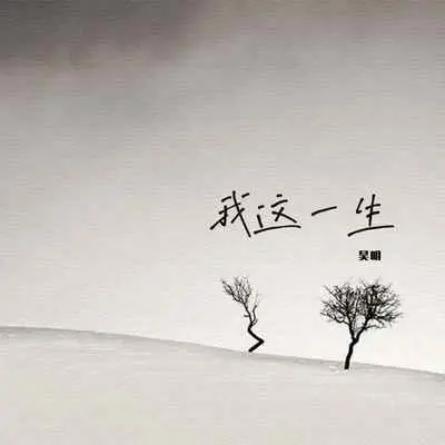 我这一生封面