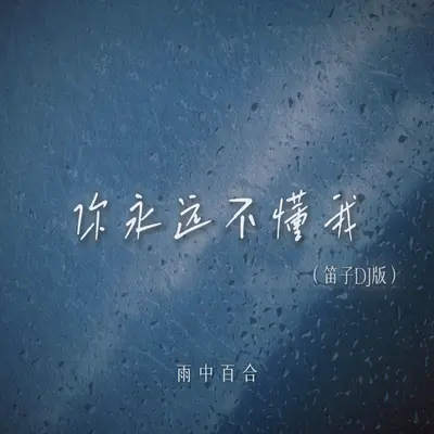 你永远不懂我(笛子DJ版)封面