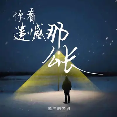 你看遗憾这么长封面