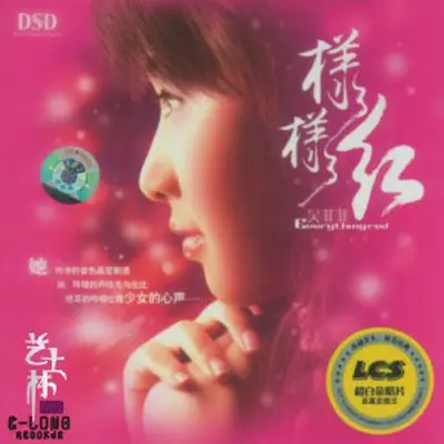 隐形的翅膀 - 吴菲菲封面