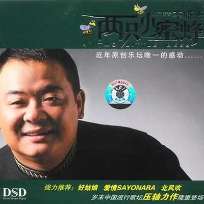又唱艳阳天封面