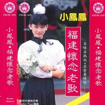 难忘的初恋情人封面