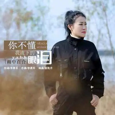 你不懂我流下的眼泪(DJ默涵版伴奏)封面