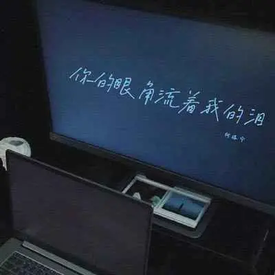 你的眼角流着我的泪封面