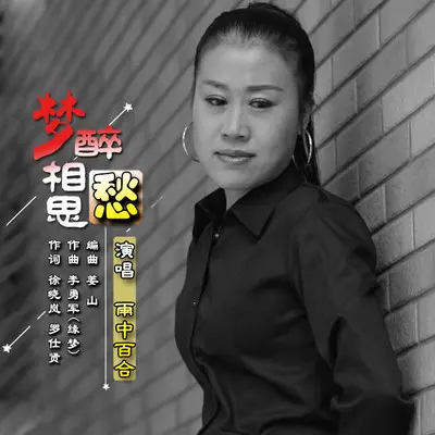 梦醉相思愁封面