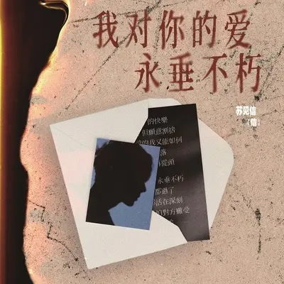 我对你的爱永垂不朽封面