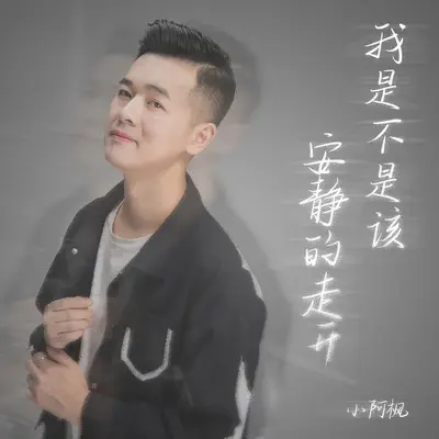 我是不是该安静的走开(伴奏) - 小阿枫封面