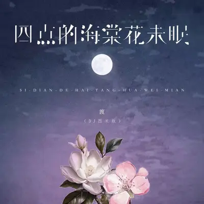 四点的海棠花未眠(DJ西米版) - 渡封面