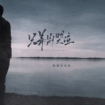 兄弟别哭泣(DJ豪大大版)封面