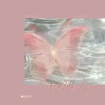 你的目光The Way You Felt (温柔版)封面