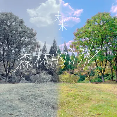 森林的记忆-伴奏封面