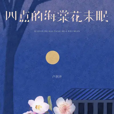 四点的海棠花未眠(伴奏)封面