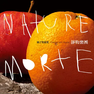 北极光封面