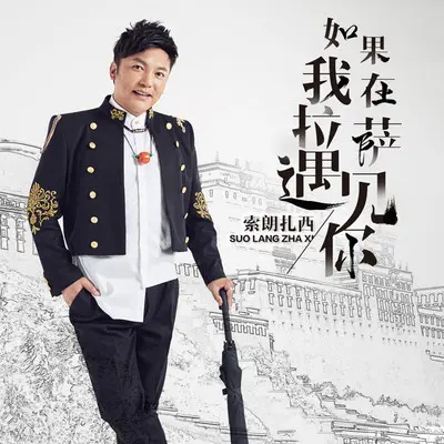 如果我在拉萨遇见你 (伴奏)封面
