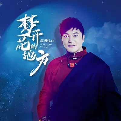 梦开花的地方封面
