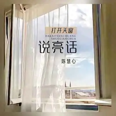 打开天窗说亮话封面