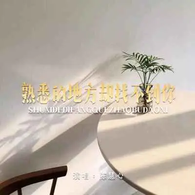 熟悉的地方却找不到你(伴奏) - 陈慧心封面
