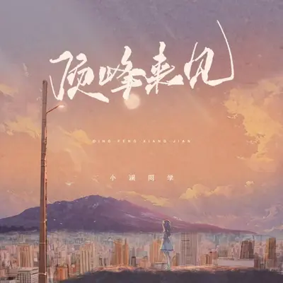 顶峰来见封面