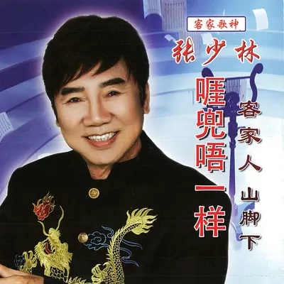 越想越撞火 (你怎么说)封面
