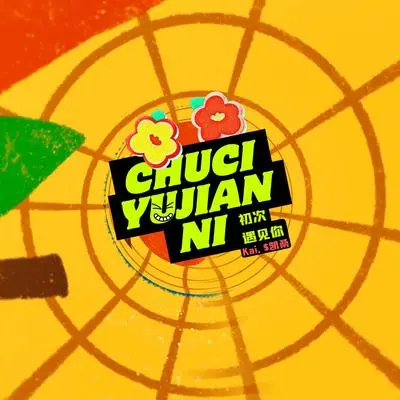 初次遇见你封面