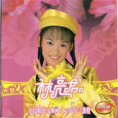 长江之歌 - 林亮君封面