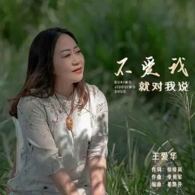 不爱我就对我说 (DJ默涵版伴奏)封面