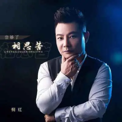 尝够了相思苦(DJ默涵版)封面