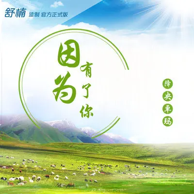 因为有了你 (舒楠监制 官方正式版)封面