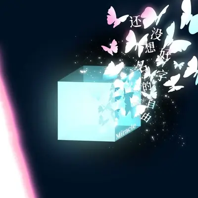 还没想好名字的自由（Miracle）封面